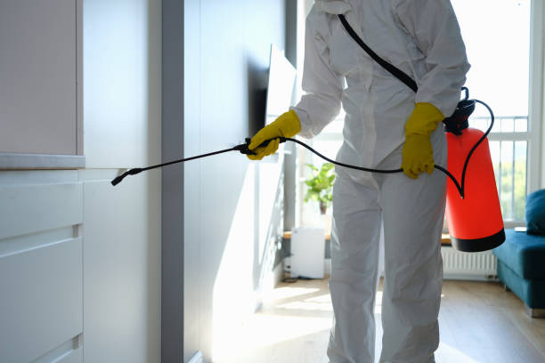Best Mold Cleaning Services  in Broomfield, CO