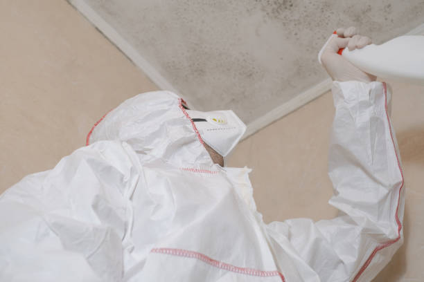 Best Toxic Mold Removal  in Broomfield, CO