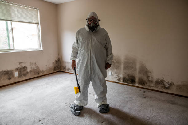 Best Fast Mold Removal  in Broomfield, CO